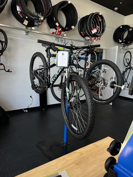 F2R Bike Shop Picture 5