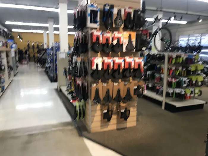 Orange Cycle Picture 8