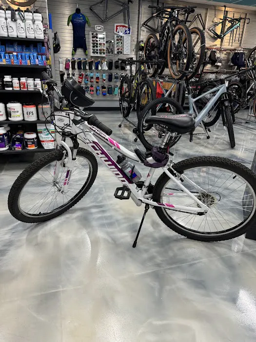 Winter Park Cycles Picture 2
