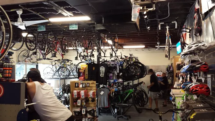 Kyle's Bike Shop Picture 2