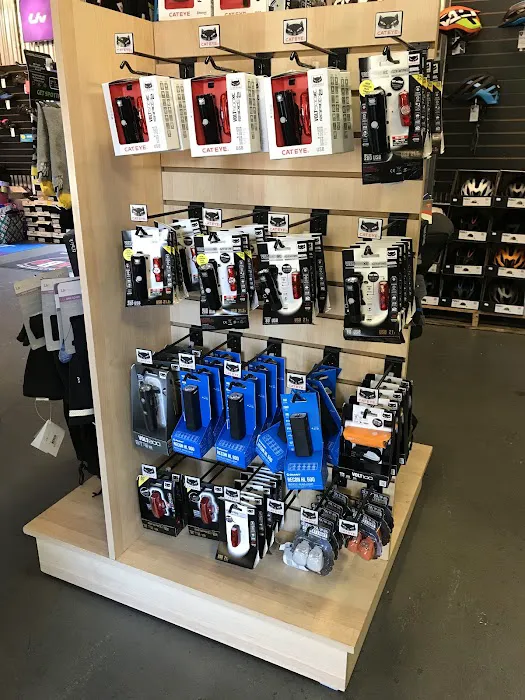 Kyle's Bike Shop Picture 9