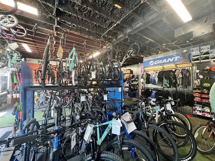 Kyle's Bike Shop Picture 3