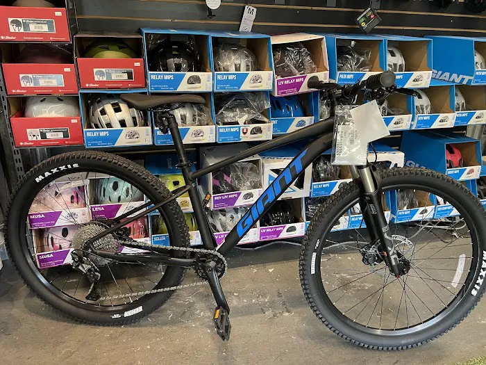 Kyle's Bike Shop Picture 6