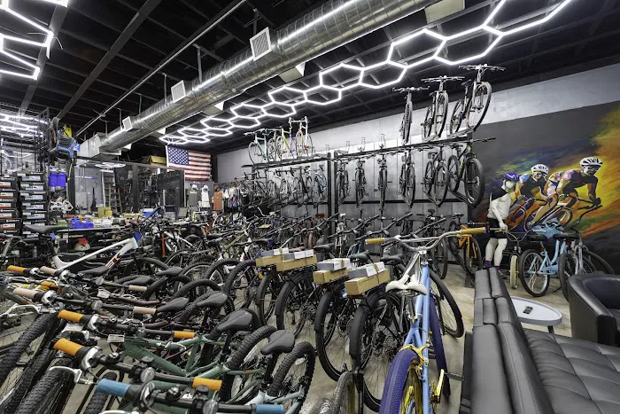 Bike Life Bicycle Shop Picture 4
