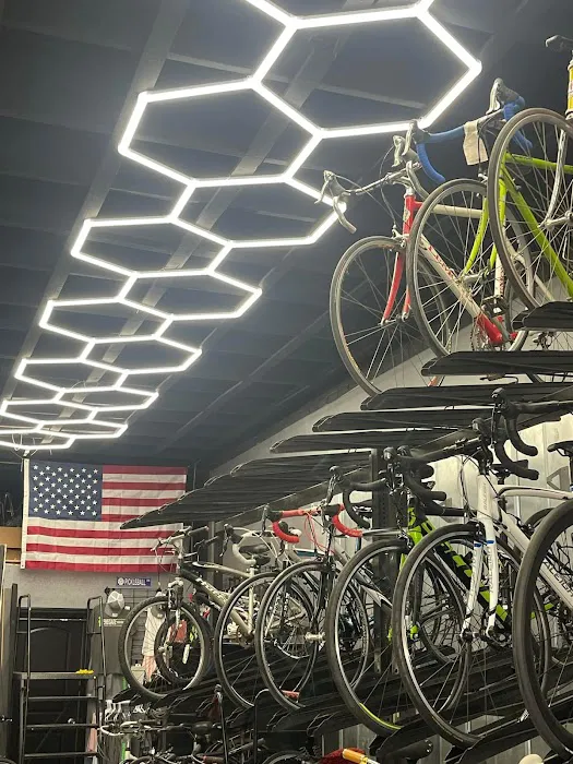 Bike Life Bicycle Shop Picture 2