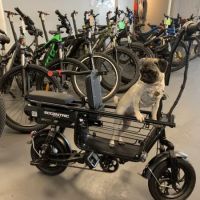 Eccentric Cycle ico