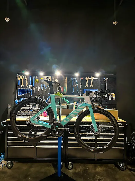 Regino Bike & Co. Picture 3