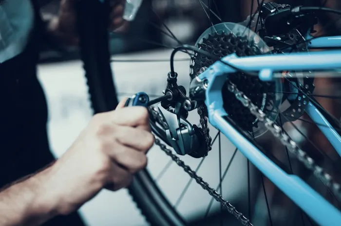 Regino Bike & Co. Picture 10