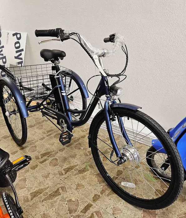 Electro Cycle Picture 4