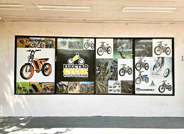 Electro Cycle Picture 5