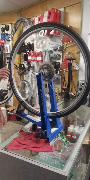 Beachside Bike Shop Picture 7