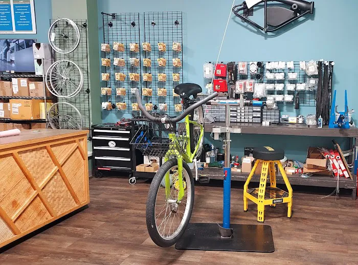 Cocoa Beach Bicycle Company Picture 1