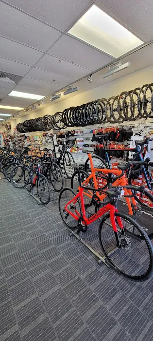Advanced Cycles Orlando, FL Picture 2