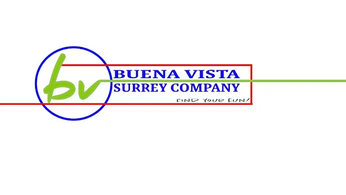Buena Vista Surrey Company Picture 3