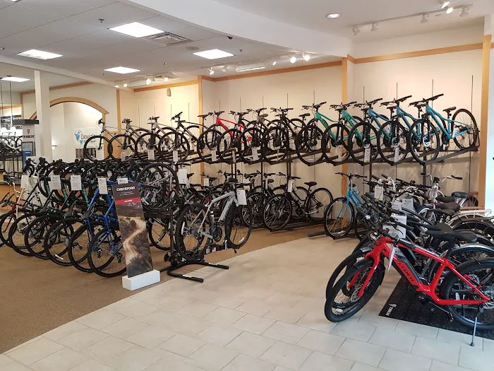 Trek Bicycle Winter Garden Picture 2