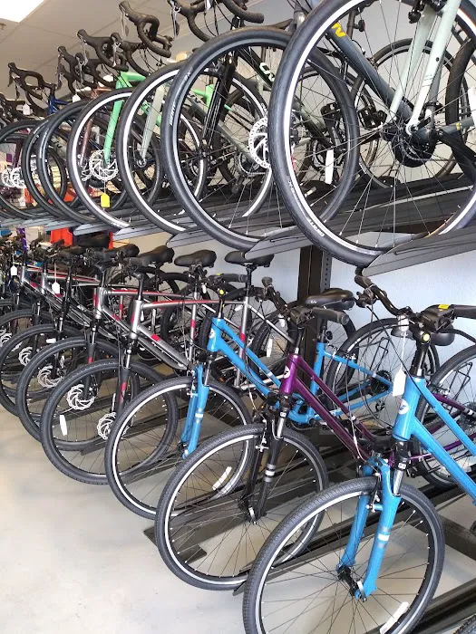 CLERMONT BICYCLES Picture 5