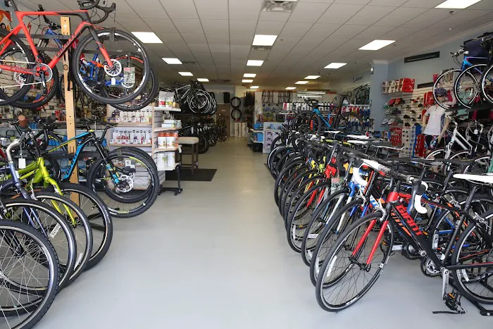 CLERMONT BICYCLES Picture 9