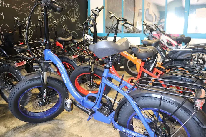 Salty Gator Bike Factory Picture 9