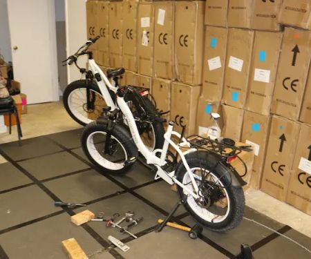 Salty Gator Bike Factory