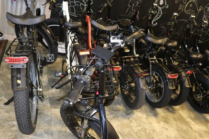 Salty Gator Bike Factory Picture 7