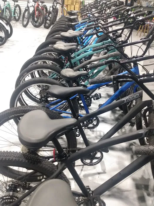 Cycle Spectrum Bike Shop Picture 5