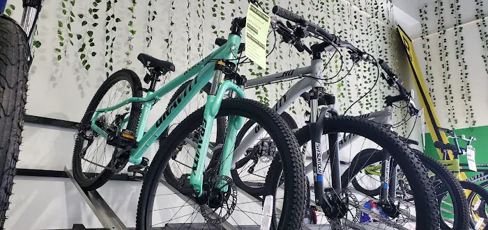Cycle Spectrum Bike Shop Picture 3
