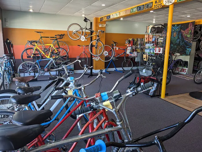 Cosmic Bicycle Shop Picture 5