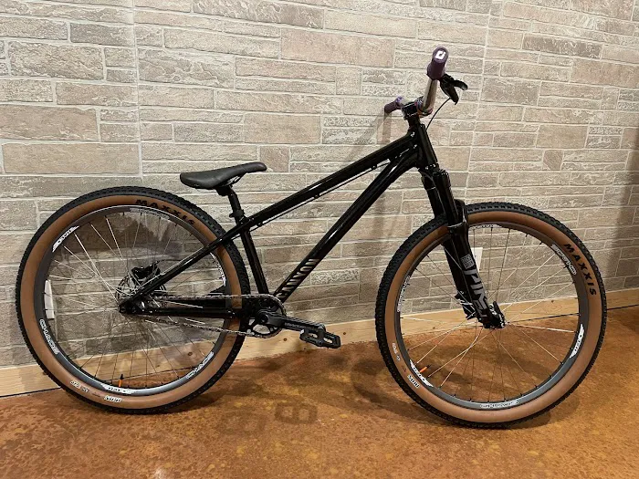 Cosmic Bicycle Shop Picture 6