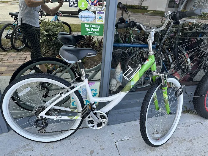 Cosmic Bicycle Shop Picture 2