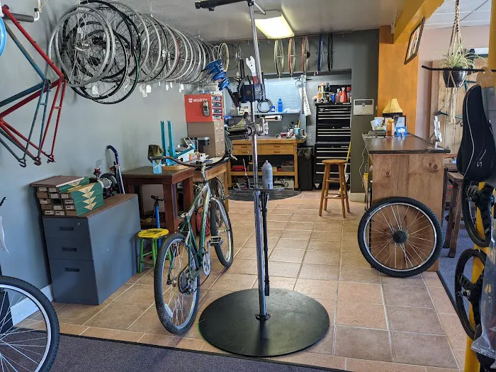 Cosmic Bicycle Shop Picture 8