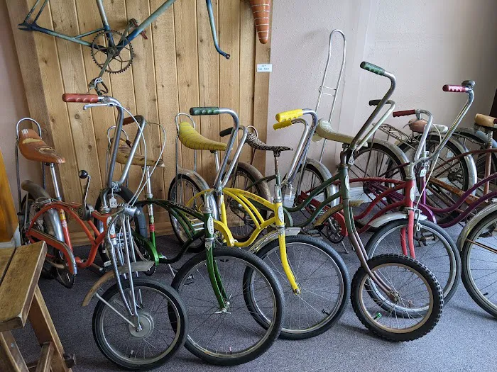 Cosmic Bicycle Shop Picture 7