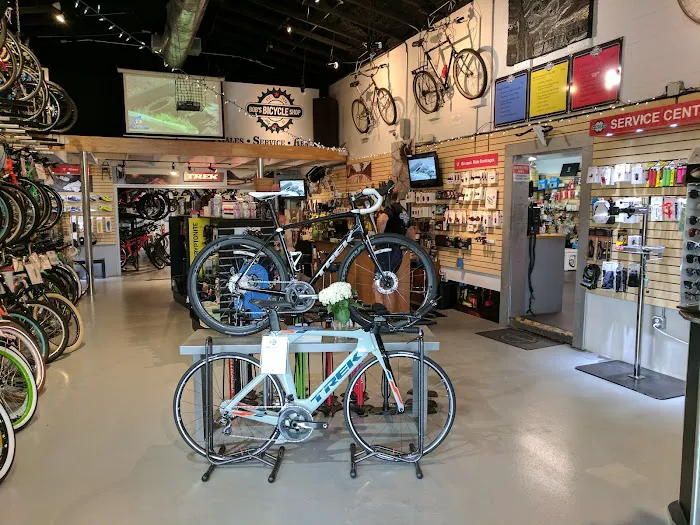 Bob's Bicycle Shop Picture 2