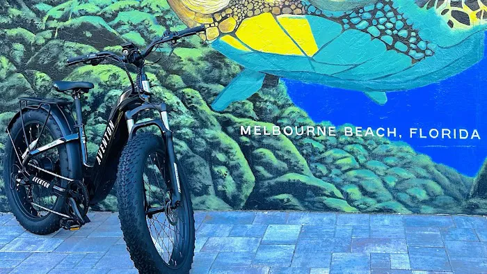Beach E-Bikes Rentals & Sales Picture 10