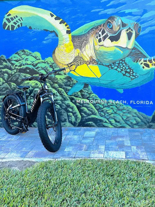 Beach E-Bikes Rentals & Sales Picture 3