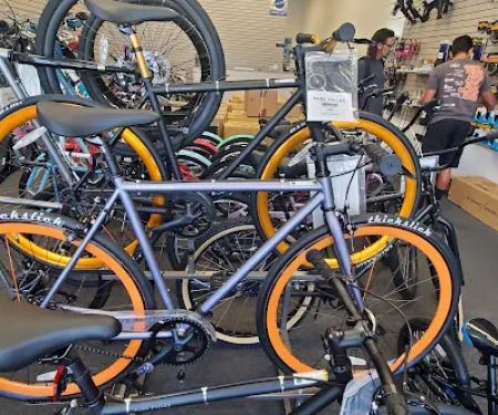 Evolution Cycle Shop