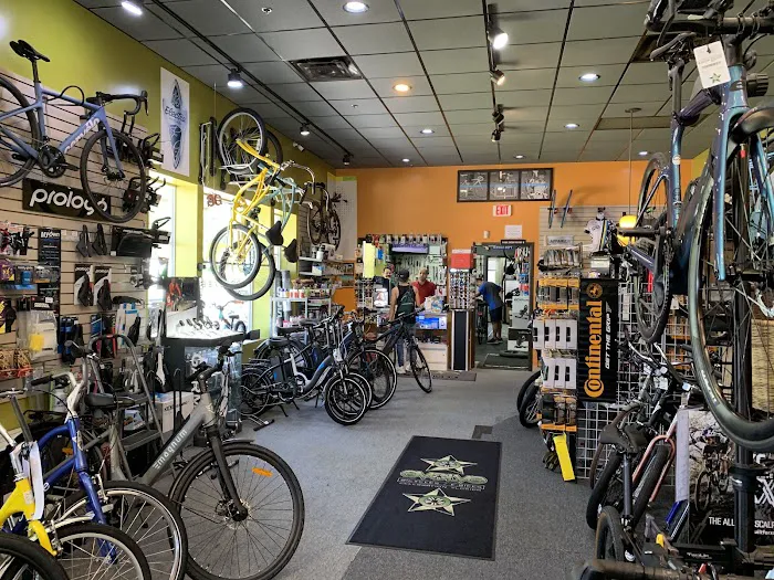 Evolve Bicycles and Ebikes Picture 6