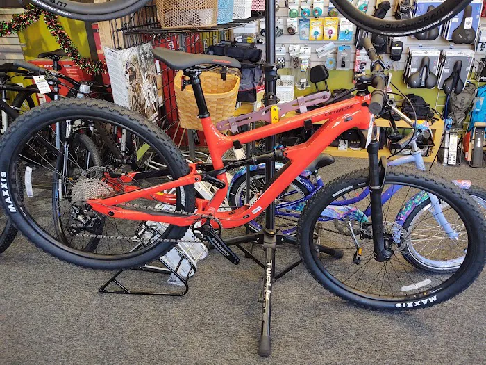 Evolve Bicycles and Ebikes Picture 9
