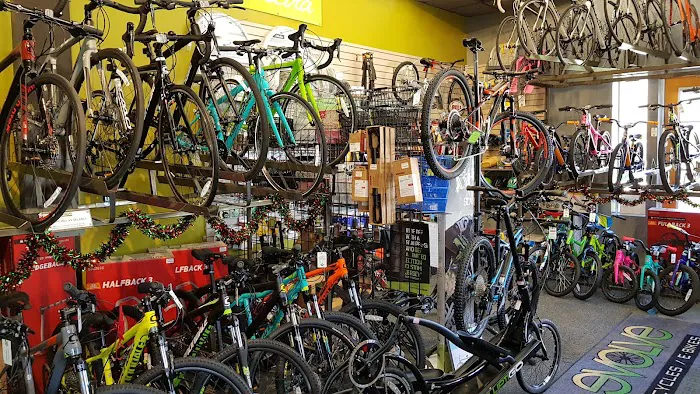 Evolve Bicycles and Ebikes Picture 2