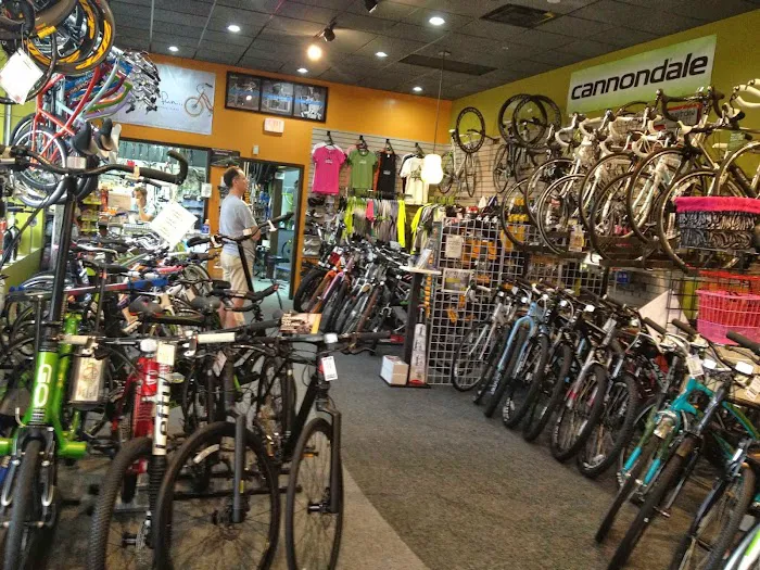 Evolve Bicycles and Ebikes Picture 10