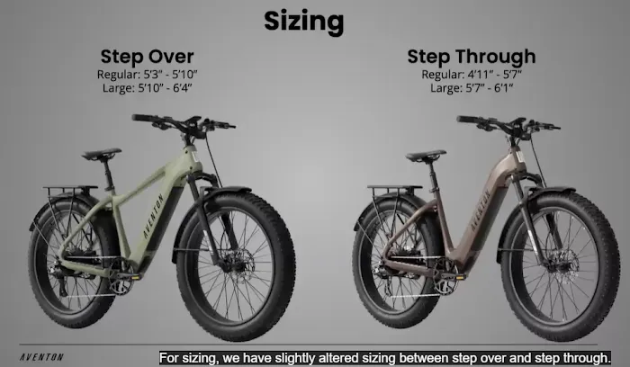 Beach E-Bikes Rentals & Sales Melbourne Picture 6