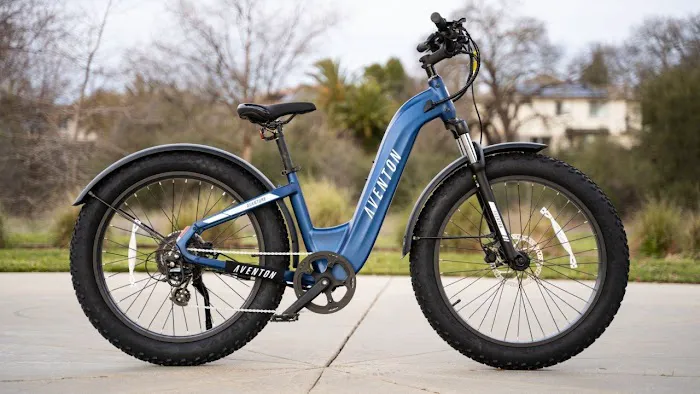 Beach E-Bikes Rentals & Sales Melbourne Picture 1
