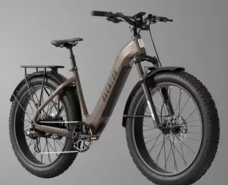 Beach E-Bikes Rentals & Sales Melbourne Picture 3