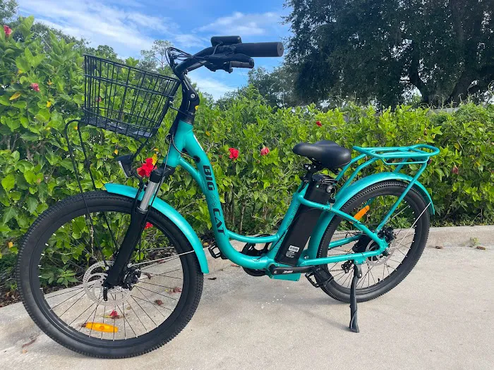 Some Guys E-BIKES Picture 8