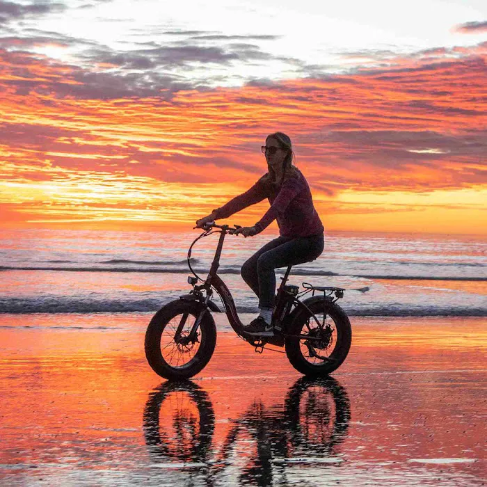 Some Guys E-BIKES Picture 5