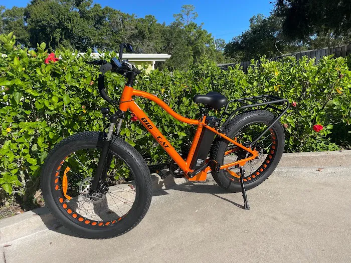 Some Guys E-BIKES Picture 10