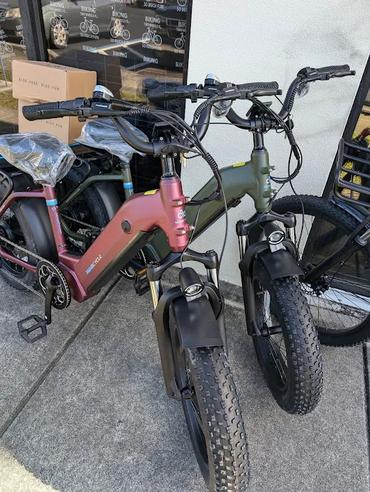 Zoo Keeper E-Bike Picture 5