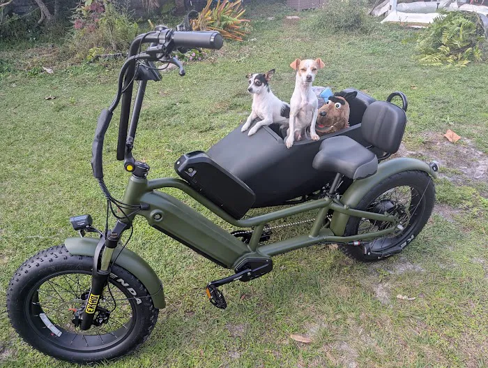 Zoo Keeper E-Bike Picture 6