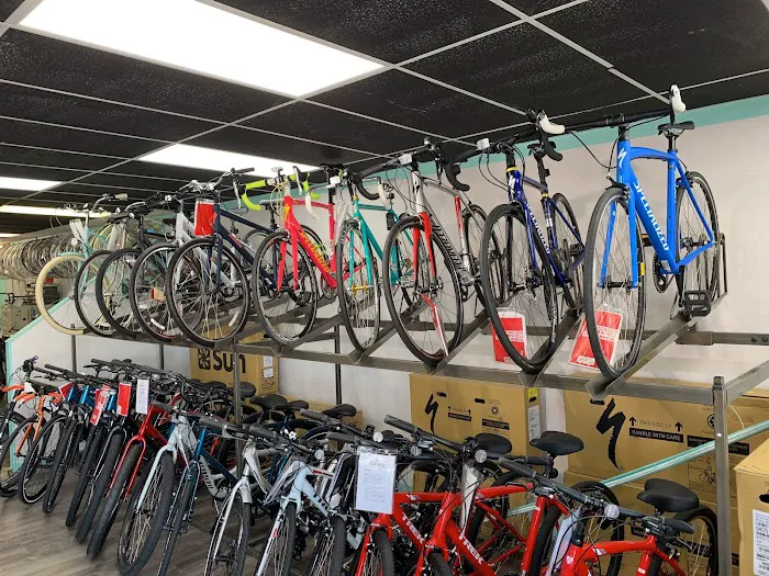 Bob's Beach Bicycle Works Picture 3