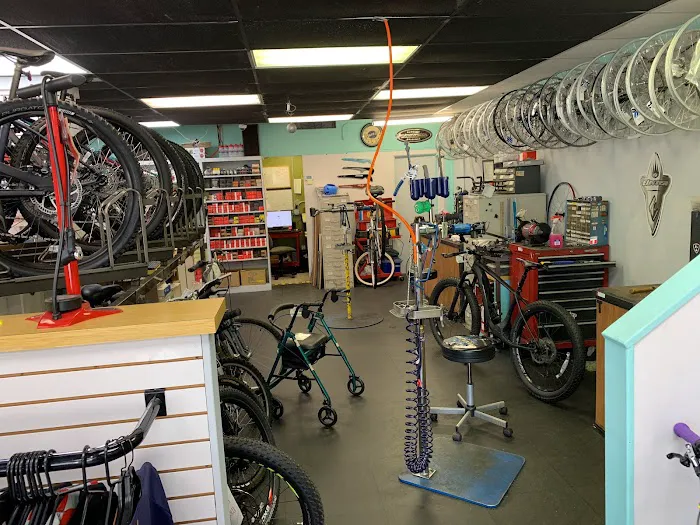 Bob's Beach Bicycle Works Picture 7