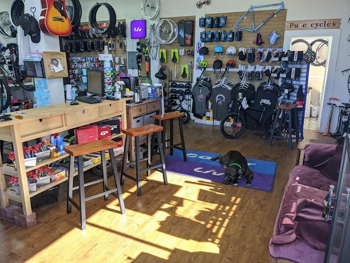 Pure Cycles Picture 3